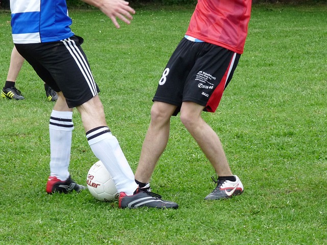 海风景区的 海风景区的