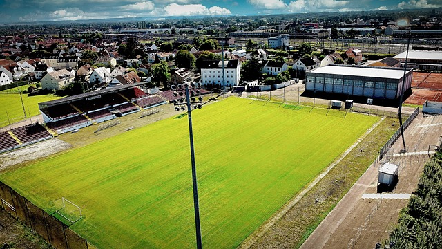 伞锦标赛 伞锦标赛