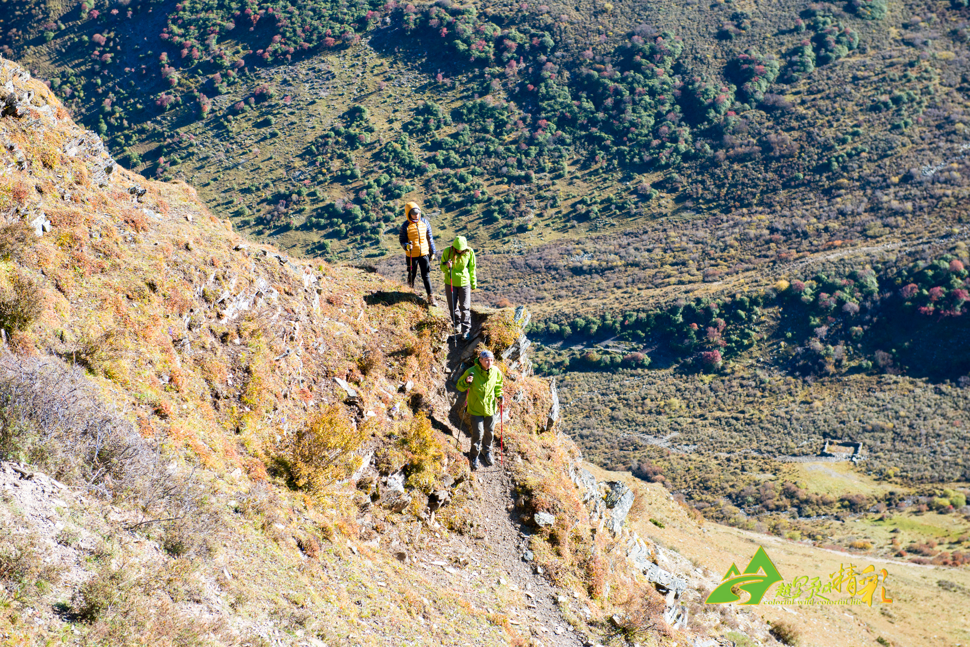 罗纳尔多在 罗纳尔多在